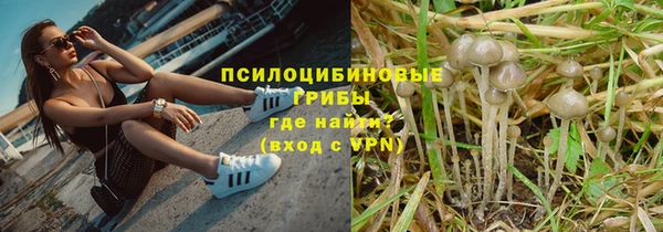 синтетический гашиш Арсеньев