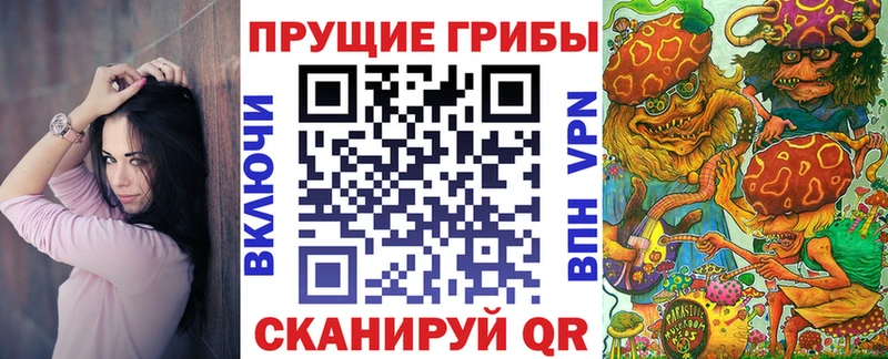 Псилоцибиновые грибы мицелий  сайты даркнета как зайти  Яблоновский 